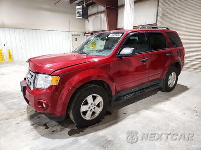 2011 FORD ESCAPE XLT 1FMCU0DG4BKB96388 - główne zdjęcie licytacji z USA - miniatura