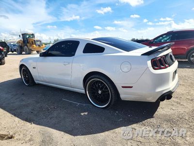 Drugie zdjęcie samochodu z przodu: 2013 FORD MUSTANG GT VIN:1ZVBP8CF2D5268492 - miniatura