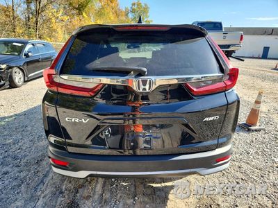 Zdjęcie 6 z 13 samochodu: 2020 HONDA CR-V EXL VIN:2HKRW2H87LH615440 - miniatura
