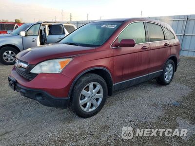 2009 HONDA CR-V EXL JHLRE487X9C015332 - główne zdjęcie licytacji z USA - miniatura