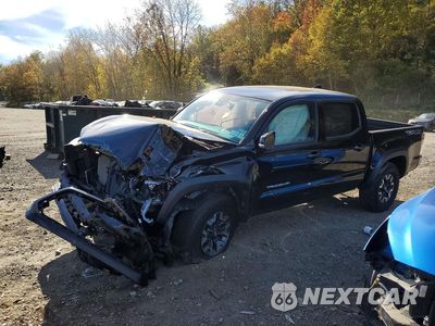 2023 TOYOTA TACOMA TRD OFF-ROAD 3TMCZ5AN7PM629661 - główne zdjęcie licytacji z USA - miniatura