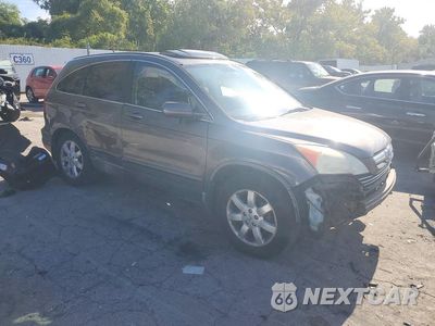 Czwarte zdjęcie samochodu z boku: 2009 HONDA CR-V EXL VIN:5J6RE48769L018736 - miniatura