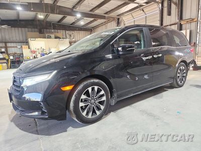 2024 HONDA ODYSSEY EXL 5FNRL6H63RB034751 - główne zdjęcie licytacji z USA - miniatura