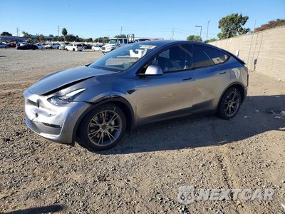 2024 TESLA MODEL Y 7SAYGAEE3RF209680 - główne zdjęcie licytacji z USA - miniatura