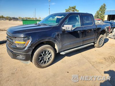 2024 FORD F150 XLT 1FTEW3LPXRKF79305 - główne zdjęcie licytacji z USA - miniatura