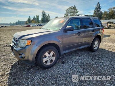 2012 FORD ESCAPE XLT 1FMCU0D7XCKC09419 - główne zdjęcie licytacji z USA - miniatura