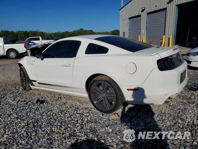 Drugie zdjęcie samochodu z przodu: 2013 FORD MUSTANG VIN:1ZVBP8AM0D5245987 - miniatura