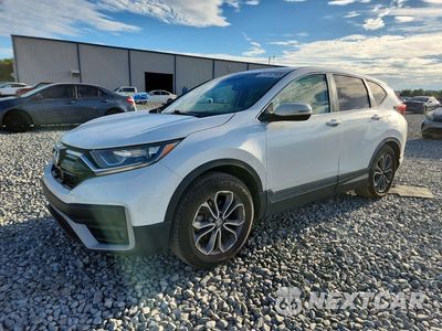 2020 HONDA CR-V EX 7FARW1H57LE027959 - główne zdjęcie licytacji z USA - miniatura