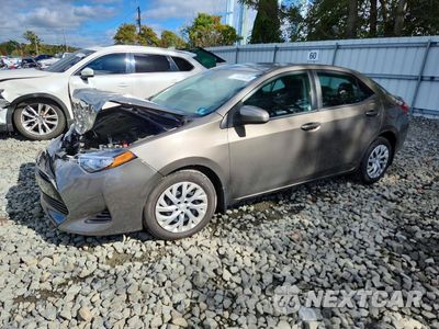 2019 TOYOTA COROLLA LE 2T1BURHE2KC161167 - główne zdjęcie licytacji z USA - miniatura