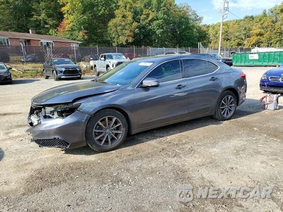 2019 ACURA TLX 19UUB1F39KA005361 - główne zdjęcie licytacji z USA - miniatura