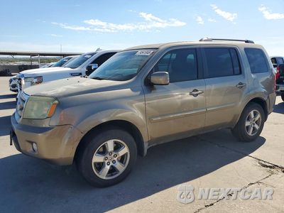 2009 HONDA PILOT EXL 5FNYF38509B017818 - główne zdjęcie licytacji z USA - miniatura