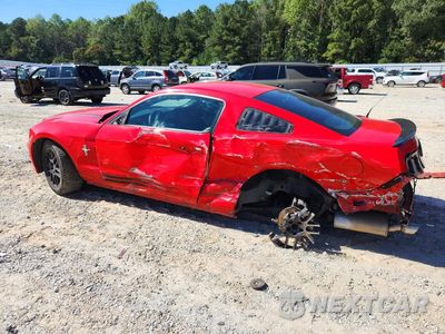 Drugie zdjęcie samochodu z przodu: 2014 FORD MUSTANG VIN:1ZVBP8AM2E5314843 - miniatura