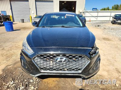 Piąte zdjęcie samochodu w środku: 2019 HYUNDAI SONATA SEL VIN:5NPE34AF9KH819926 - miniatura