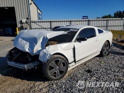 2013 FORD MUSTANG 1ZVBP8AM0D5245987 - główne zdjęcie licytacji z USA - miniatura