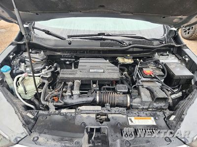 Zdjęcie 11 z 12 samochodu: 2019 HONDA CR-V EX VIN:5J6RW2H54KL023245 - miniatura