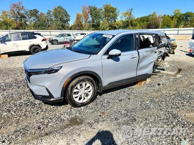 2026 HONDA CR-V LX 2HKRS3H22TH312191 - główne zdjęcie licytacji z USA - miniatura