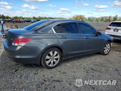 Trzecie zdjęcie samochodu z tyłu: 2010 HONDA ACCORD EXL VIN:1HGCP3F80AA015456 - miniatura