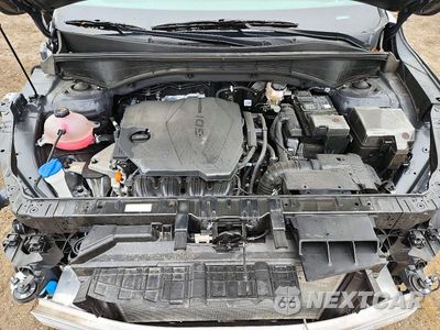 Zdjęcie 11 z 12 samochodu: 2024 KIA SORENTO S VIN:5XYRLDJC5RG258827 - miniatura