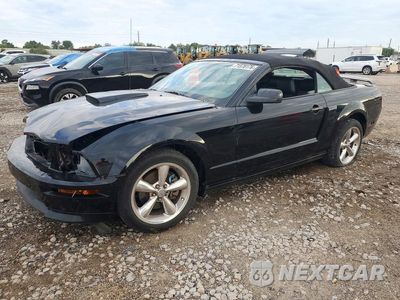 2009 FORD MUSTANG GT 1ZVHT85H795146237 - główne zdjęcie licytacji z USA - miniatura
