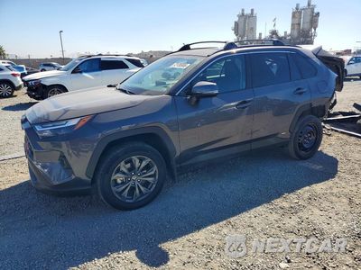 2023 TOYOTA RAV4 XLE PREMIUM 2T3B6RFV4RW070379 - główne zdjęcie licytacji z USA - miniatura