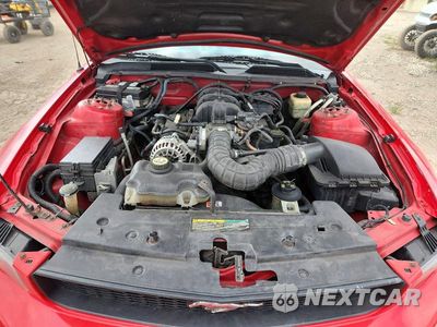 Zdjęcie 11 z 12 samochodu: 2008 FORD MUSTANG VIN:1ZVHT80N685167107 - miniatura