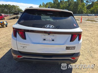 Zdjęcie 6 z 12 samochodu: 2024 HYUNDAI TUCSON SEL VIN:5NMJB3DE3RH344618 - miniatura