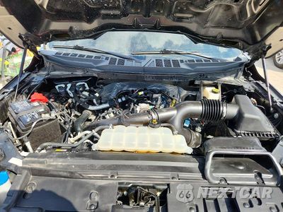Zdjęcie 11 z 12 samochodu: 2025 FORD F150 STX VIN:1FTEW2KP7SKD84392 - miniatura