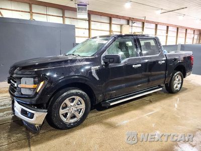 2025 FORD F150 XLT 1FTEW3K88SKE69921 - główne zdjęcie licytacji z USA - miniatura