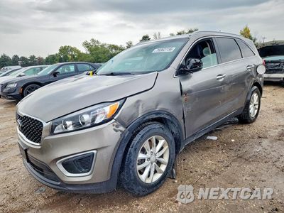 2016 KIA SORENTO LX 5XYPG4A37GG112003 - główne zdjęcie licytacji z USA - miniatura