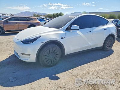 2024 TESLA MODEL Y 7SAYGDEDXRF088610 - główne zdjęcie licytacji z USA - miniatura
