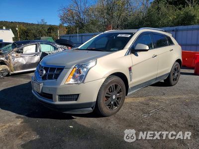 2011 CADILLAC SRX LUXURY COLLECTION 3GYFNAEY3BS558480 - główne zdjęcie licytacji z USA - miniatura