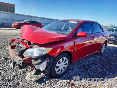 2011 TOYOTA COROLLA LE JTDBU4EEXB9131900 - główne zdjęcie licytacji z USA - miniatura