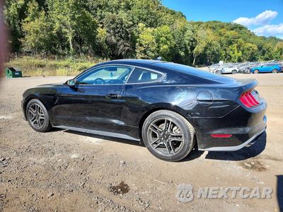 Drugie zdjęcie samochodu z przodu: 2021 FORD MUSTANG VIN:1FA6P8TH3M5157672 - miniatura