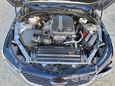 Zdjęcie 11 z 12 samochodu: 2025 CADILLAC CT4 PREMIUM LUXURY VIN:1G6DB5RK1S0106489 - miniatura