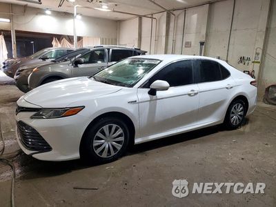 2019 TOYOTA CAMRY LE 4T1B31HK6KU509139 - główne zdjęcie licytacji z USA - miniatura