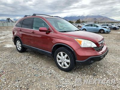 Czwarte zdjęcie samochodu z boku: 2007 HONDA CR-V EXL VIN:JHLRE48767C069076 - miniatura