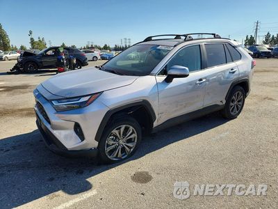 2025 TOYOTA RAV4 XLE PREMIUM 4T3B6RFV1SU196785 - główne zdjęcie licytacji z USA - miniatura