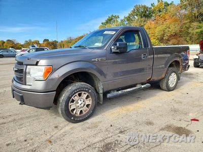 2013 FORD F150 1FTMF1EM7DKD44193 - główne zdjęcie licytacji z USA - miniatura