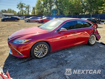 2020 LEXUS ES 350 LUXURY 58AEZ1B12LU070687 - główne zdjęcie licytacji z USA - miniatura