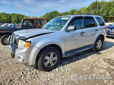 2011 FORD ESCAPE XLT 1FMCU9DG1BKB09034 - główne zdjęcie licytacji z USA - miniatura