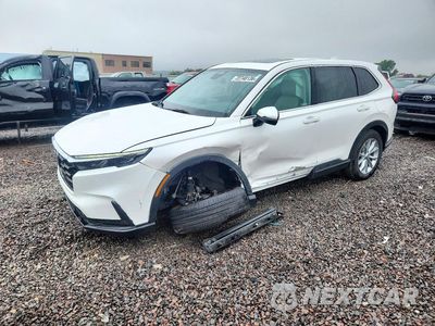 2024 HONDA CR-V EX 2HKRS4H47RH468355 - główne zdjęcie licytacji z USA - miniatura