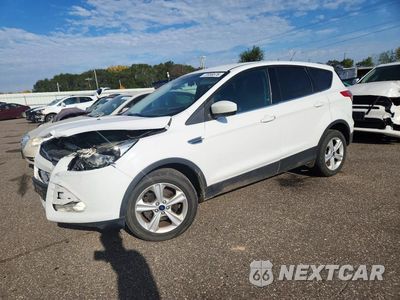 2014 FORD ESCAPE SE 1FMCU0GX9EUE28214 - główne zdjęcie licytacji z USA - miniatura