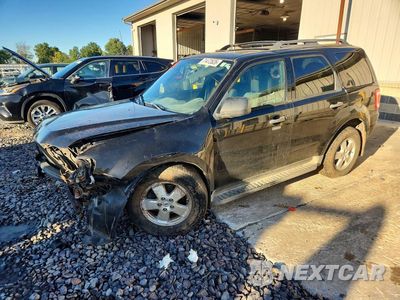 2011 FORD ESCAPE XLT 1FMCU9DG7BKA96399 - główne zdjęcie licytacji z USA - miniatura