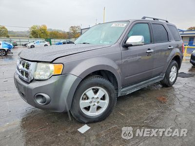 2011 FORD ESCAPE XLT 1FMCU0D71BKC08884 - główne zdjęcie licytacji z USA - miniatura