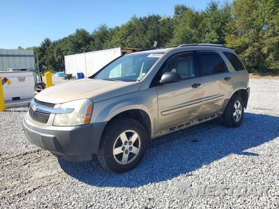 2005 CHEVROLET EQUINOX LS 2CNDL13F256068163 - główne zdjęcie licytacji z USA - miniatura