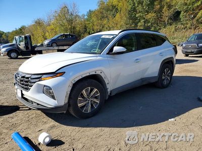 2024 HYUNDAI TUCSON BLUE KM8JBCD13RU195080 - główne zdjęcie licytacji z USA - miniatura