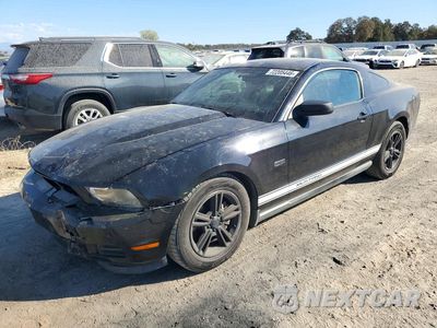 2011 FORD MUSTANG 1ZVBP8AM0B5160578 - główne zdjęcie licytacji z USA - miniatura