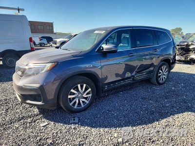 2020 HONDA PILOT EXL 5FNYF6H59LB048901 - główne zdjęcie licytacji z USA - miniatura