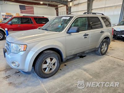 2010 FORD ESCAPE XLT 1FMCU9DG1AKB88462 - główne zdjęcie licytacji z USA - miniatura