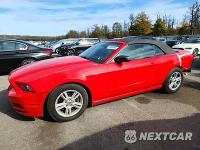2014 FORD MUSTANG 1ZVBP8EM6E5281680 - główne zdjęcie licytacji z USA - miniatura
